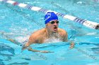 Swimming & Diving vs Babson  Swimming & Diving vs Babson College. - Photo by Keith Nordstrom : Wheaton, Swimming